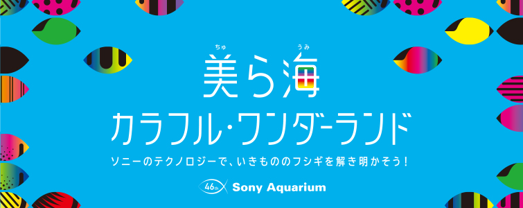 46th Sony Aquarium `C JtE_[h`@\j[̃eNmW[ŁẪtVMI