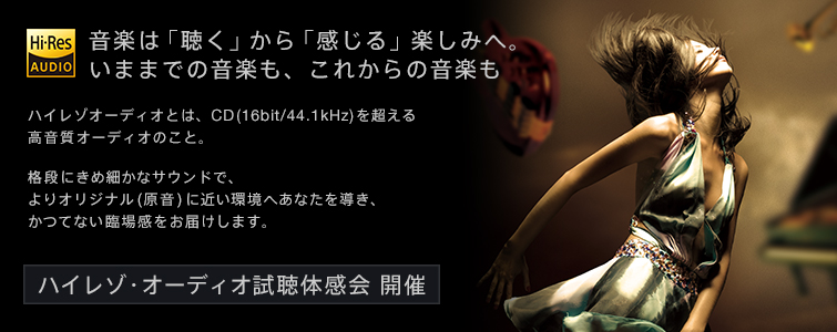 �n�C���]�E�I�[�f�B�I�����̊���