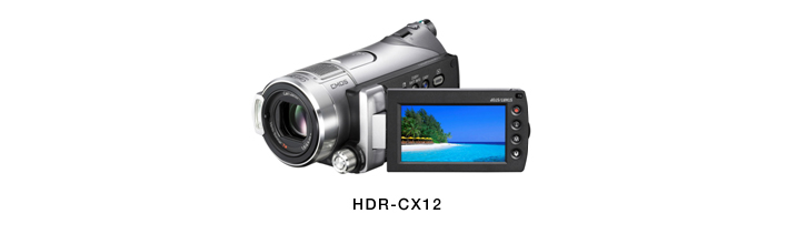 AVCHD fW^nCrWg[XeBbNhgnfBJh