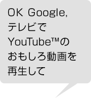 OK Google, テレビでYouTube™のおもしろ動画を再生して