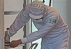 �t��HD�l�b�g���[�N�J�����B�e�摜