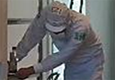 �A�i���O�J�����B�e�摜