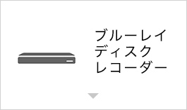 �u���[���C�f�B�X�N���R�[�_�[