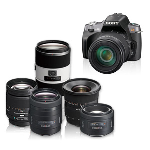 �g���h�����Y �̌������^���T�[�r�X�摜