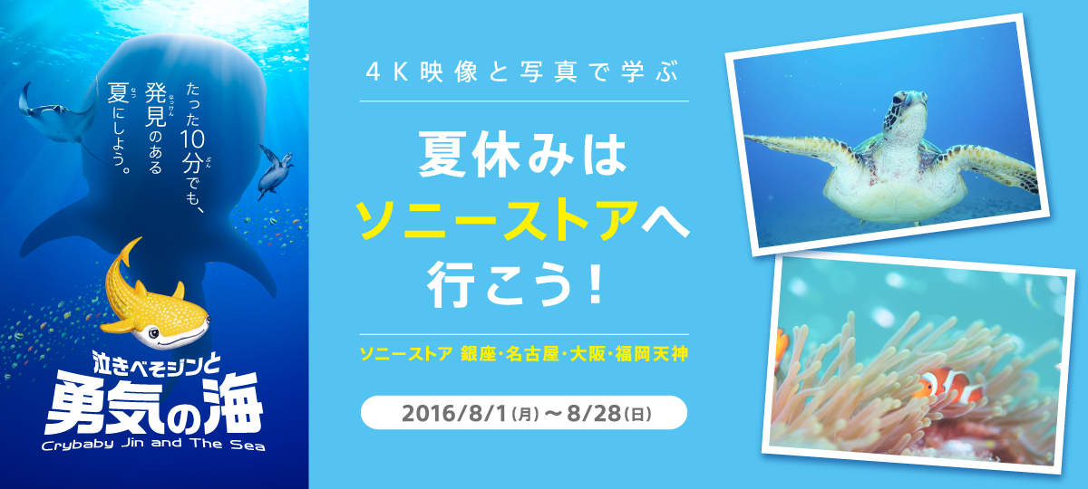 2016�T�}�[�t�F�A�@�`�\�j�[�X�g�A�ŉĂ��y�������`