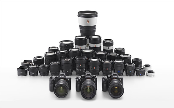 �~���[���X��������̌��E�w�����k