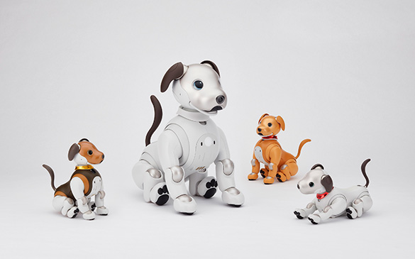 aibo�@2�{�X�P�[�����b�N�@in�@�\�j�[�X�g�A �����V�_