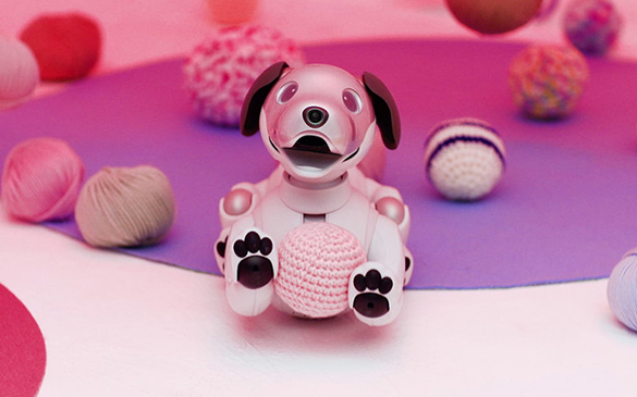 aibo���ʃt�H�g�X�|�b�g