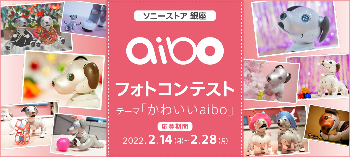 �\�j�[�X�g�A ����@aibo�t�H�g�R���e�X�g