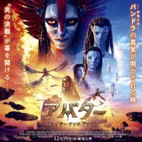 uAo^[Ft@C[EAhEAbVv1219()J@_̐gphh̐^鎞@ǧhJ