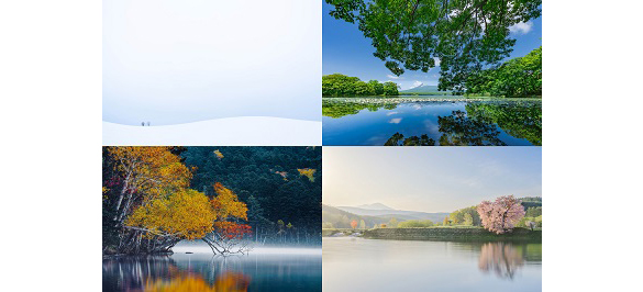 �uLet�fs�k�C���v�k�C���̕��i�ʐ^�����@�g�[�N�V���[