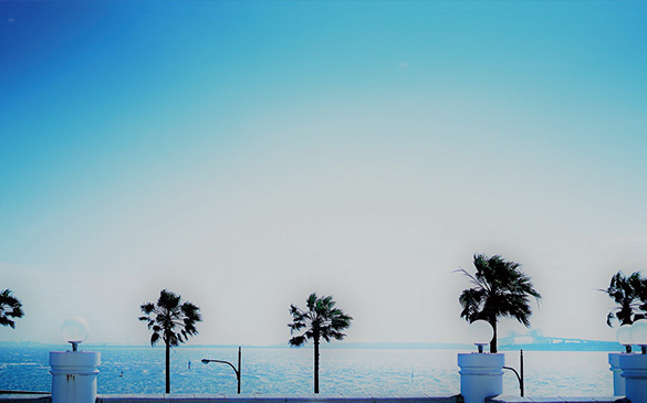 �y���I�z���w�u���l�X�i�b�v�B�e�U��v�̎B������Љ��<br>���l�X�i�b�v�B�e�U�􁕗����B�e��