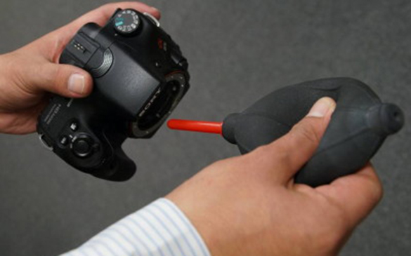 ���N�C�b�N�����e�i���X