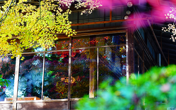 ���w�u���s�@�H�F���B��v����E�����@�B����Љ�