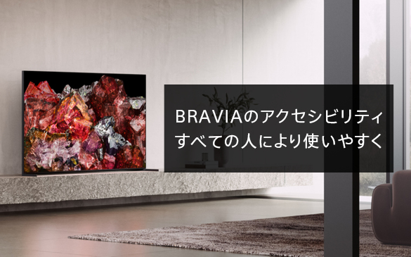 �u���r�A�̃A�N�Z�V�r���e�B�R�[�i�[