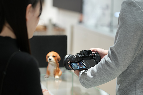 �͂��߂Ă̈��J�������k��