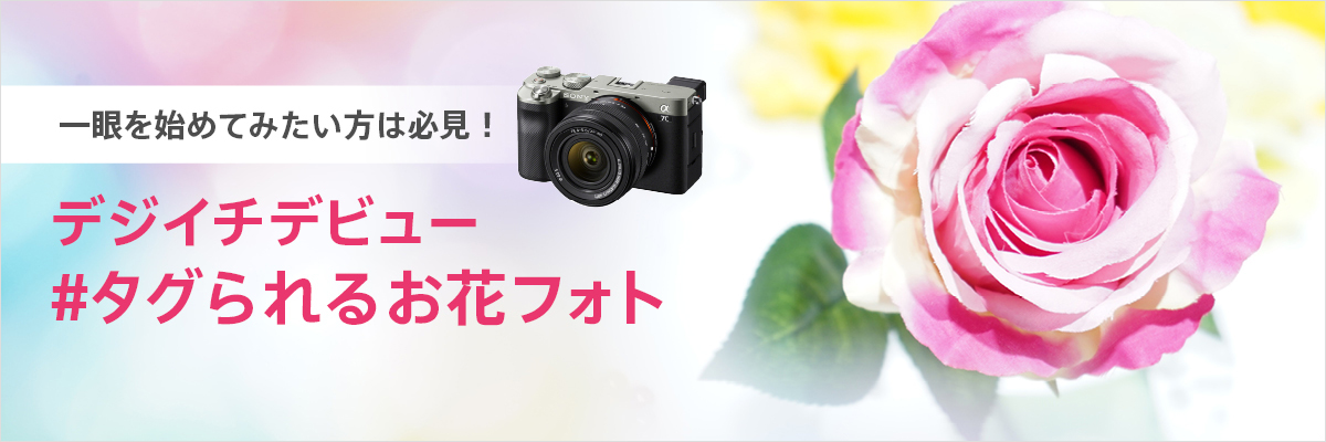 �\�j�[�X�g�A ����@�f�W�C�`�f�r���[�u��^�O���邨�ԃt�H�g�v