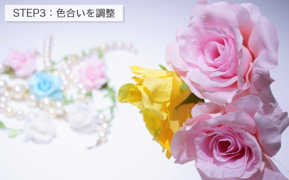 STEP3�F�F�����𒲐�