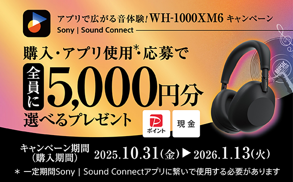 ソニーストア 店舗 感謝祭 | ソニーストアについて | ソニー