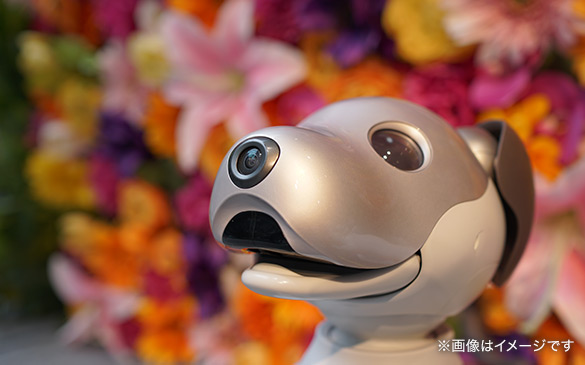 aibo�~���t�H�g�X�|�b�g