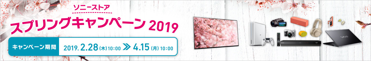 �\�j�[�X�g�A �X�v�����O �L�����y�[�� 2019