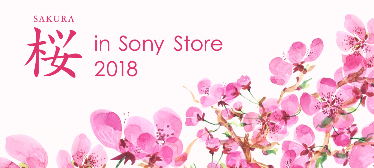桜in SonyStore 2018