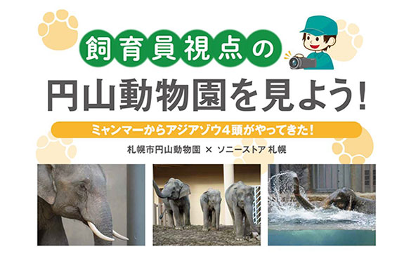 円山動物園 ゾウ舎オープン記念 「飼育員視点の円山動物園を見よう」