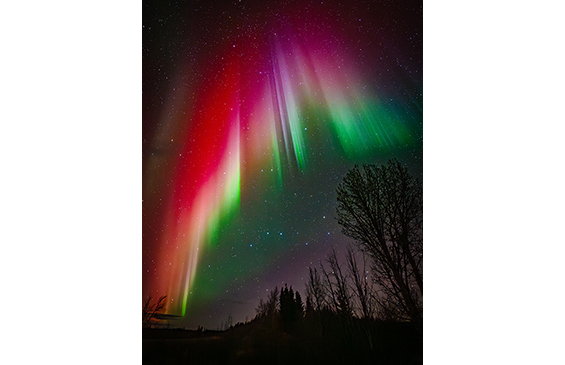 �ʐ^�� ���_ �N��M�������[�g�[�N