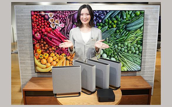 �ŐV�T�E���h�o�[�������̌���