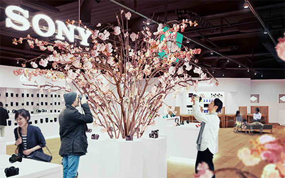 �u�� in Sony Store 2018�v�̂��ē�