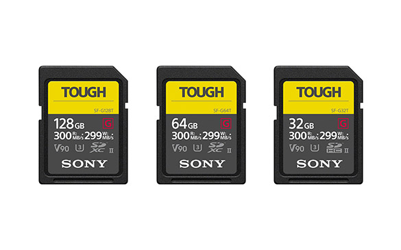 �yTOUGH(�^�t)�zSF-G�V���[�Y�@�^�t�d�l