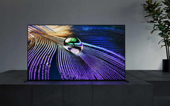 �u���r�A�C�x���g���