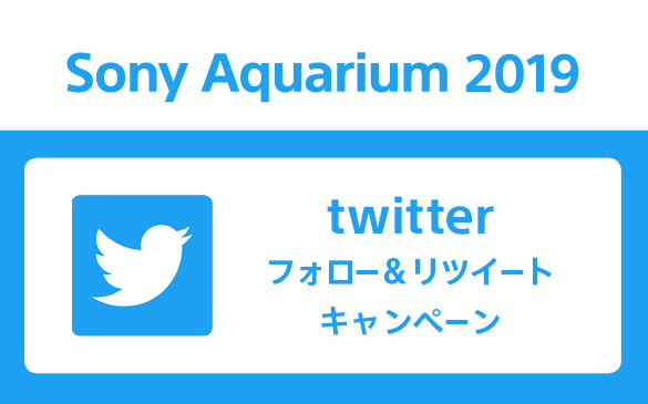 Sony Aquarium 2019 フォロー＆リツイートキャンペーン