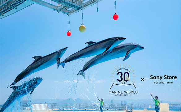 �}�������[���h�C�̒���