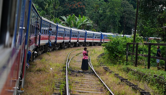 �y���t�H�g�u���z�v���o�̈ꖇ���B�e���悤�I