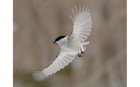 �y�������̎B�e�z���ꂩ��n�߂Ă݂�������