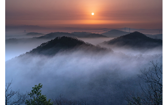 �y���i�z�ʐ^�u���@�`�l�G�`