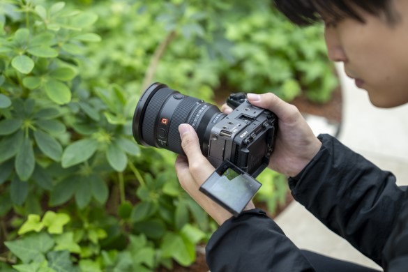 �y���Ԍ���zCinema Line ���ł������ʑ̌���