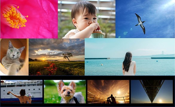 �\�j�[�X�g�A ��� 20���N��� �u���Ȃ��ƍʂ��i�W�v�`Life with ���`