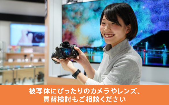 �� ��������̌��E�w�����k