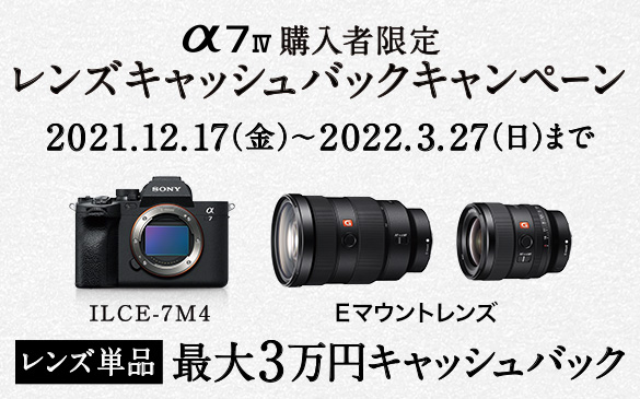 ��7 IV �w���Ҍ��� �����Y�L���b�V���o�b�N�L�����y�[��