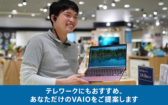 �e�����[�N�ɂ������� �wVAIO�x�̍w�����k��