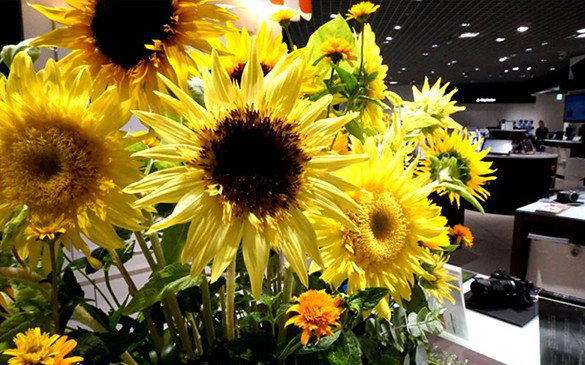 �Ă̎B�e���y���݂܂��񂩁H