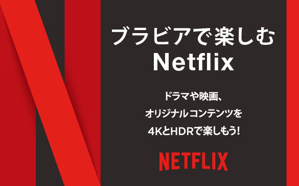 �u���r�A�̌���w �u���r�A�Ŋy����Netflix �x