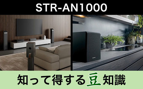 STR-AN1000 mē铤m