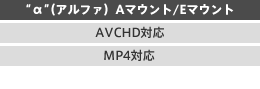 “α”（アルファ）Aマウント/Eマウント AVCHD対応/MP4対応/スイングパノラマ対応