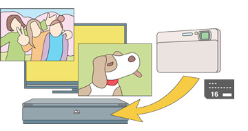 �f�W�^���X�`���J�����̎ʐ^��{�@�̃n�[�h�f�B�X�N�Ɏ�荞��