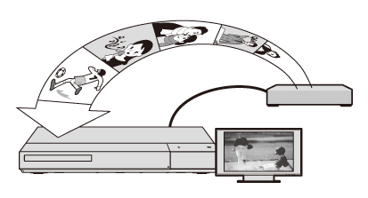 �O���`���[�i�[�Ɩ{�@