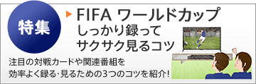 FIFA ワールドカップ しっかり録ってサクサク見るコツ