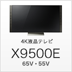 X9500E